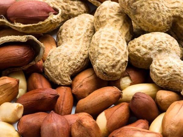 قیمت آج...